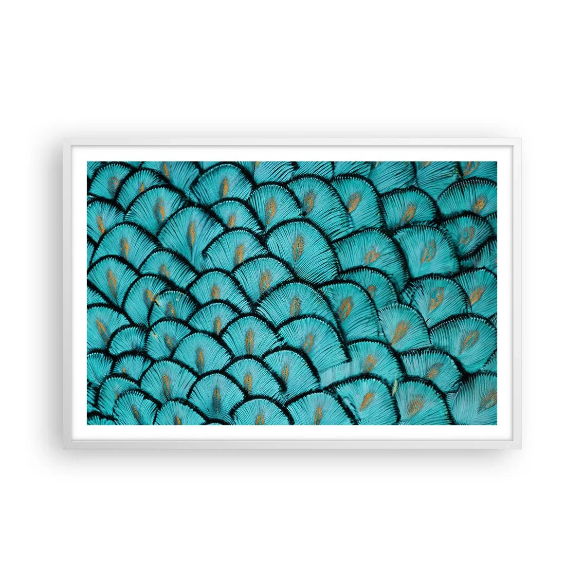 Pôster em moldura branca - A grande gala de penas - 91x61 cm