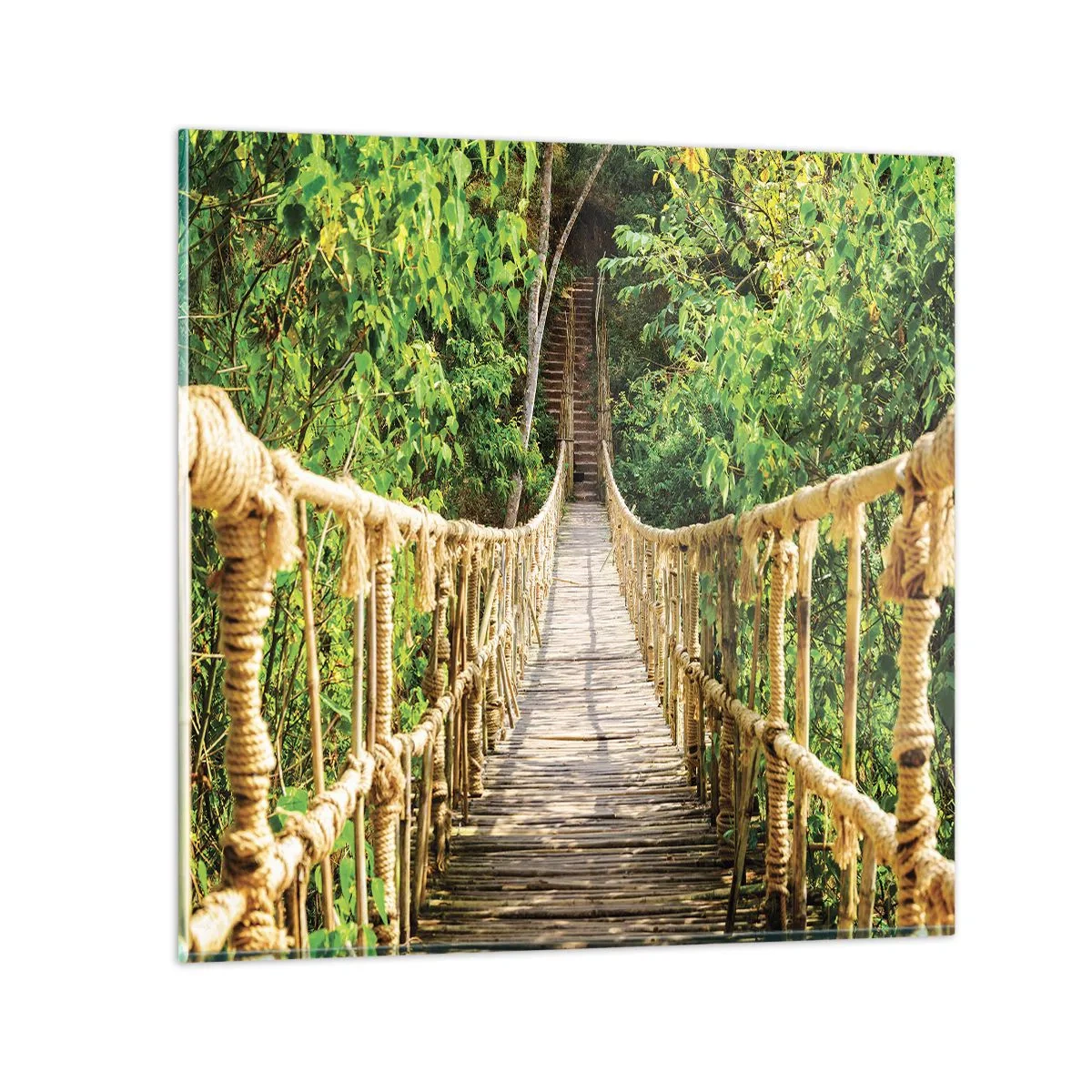 Quadro em vidro - Suspenso na vegetação - 30x30 cm