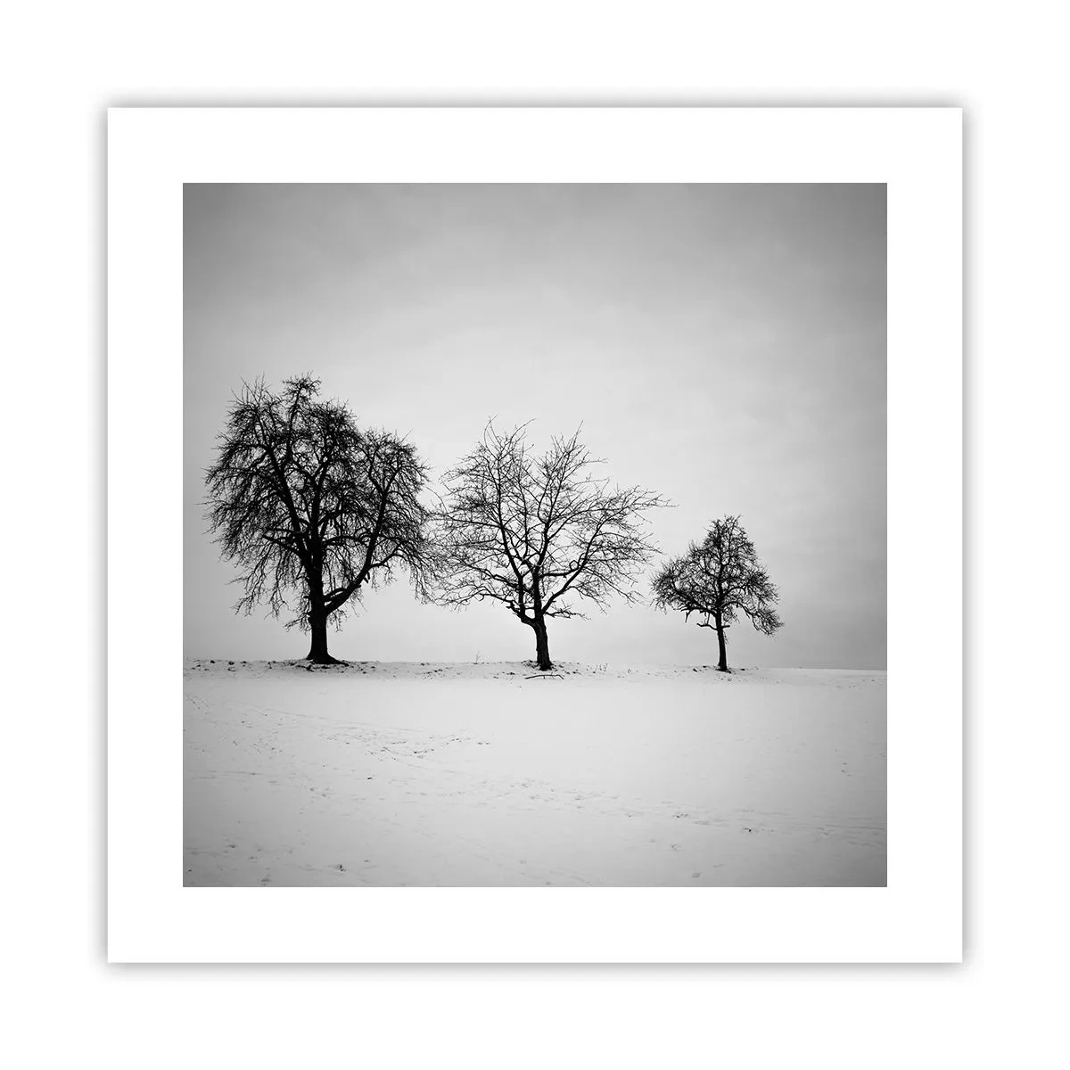 Pôster - Com que sonham elas? - 40x40 cm