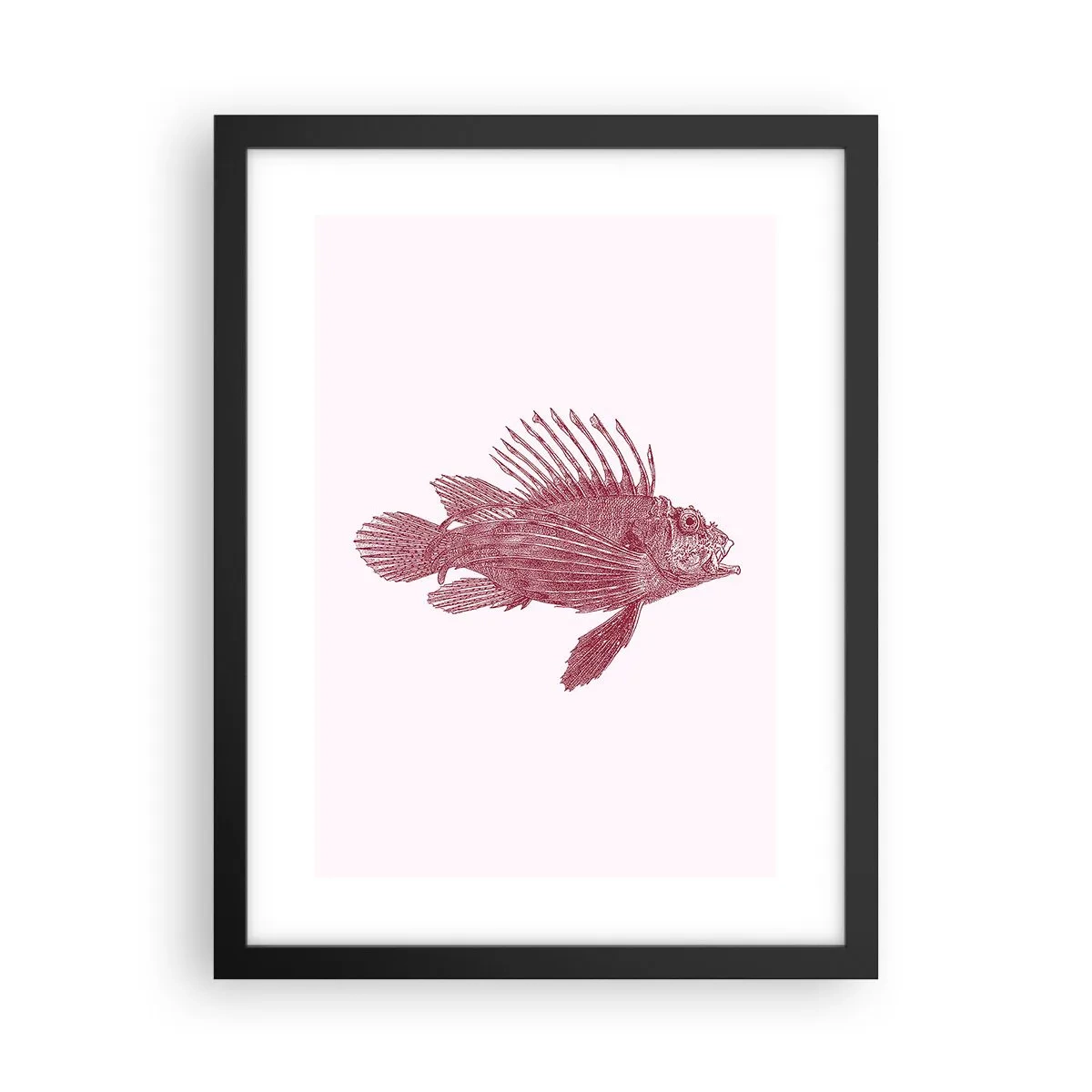 Pôster com moldura preta - Um habitante de águas exóticas - 30x40 cm