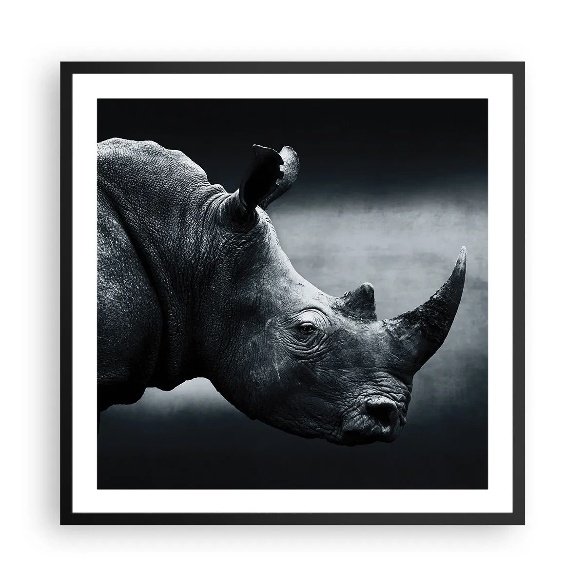 Pôster com moldura preta - Perfil direito - 60x60 cm