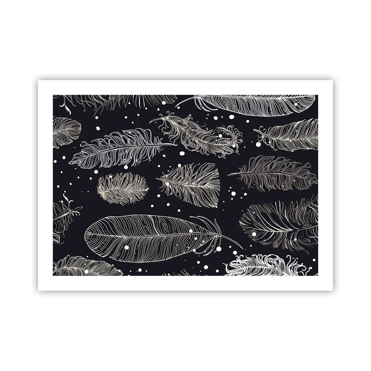 Pôster - Rendas de penas - 70x50 cm