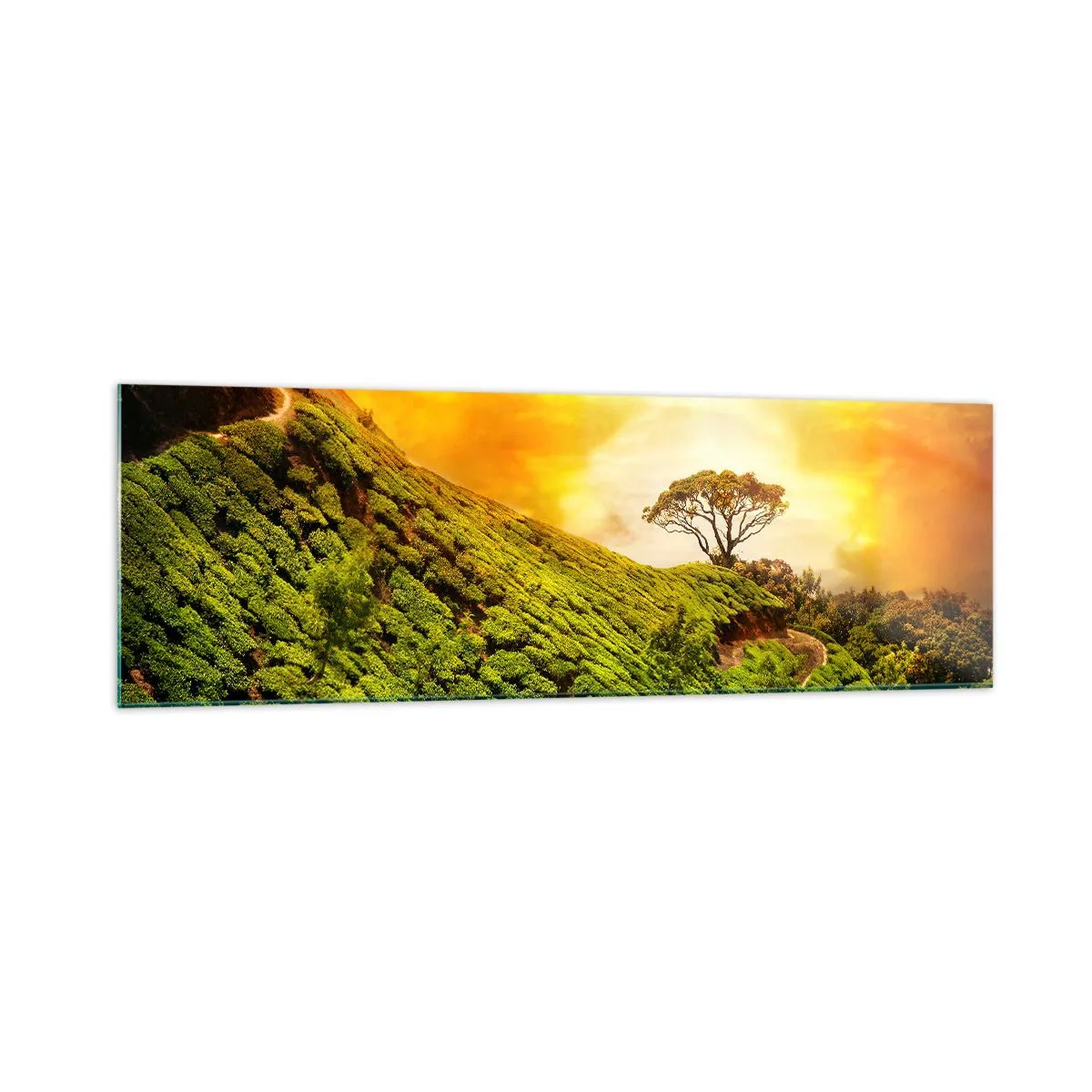 Quadro em vidro - Um caminho sinuoso, uma encosta verde - 160x50 cm