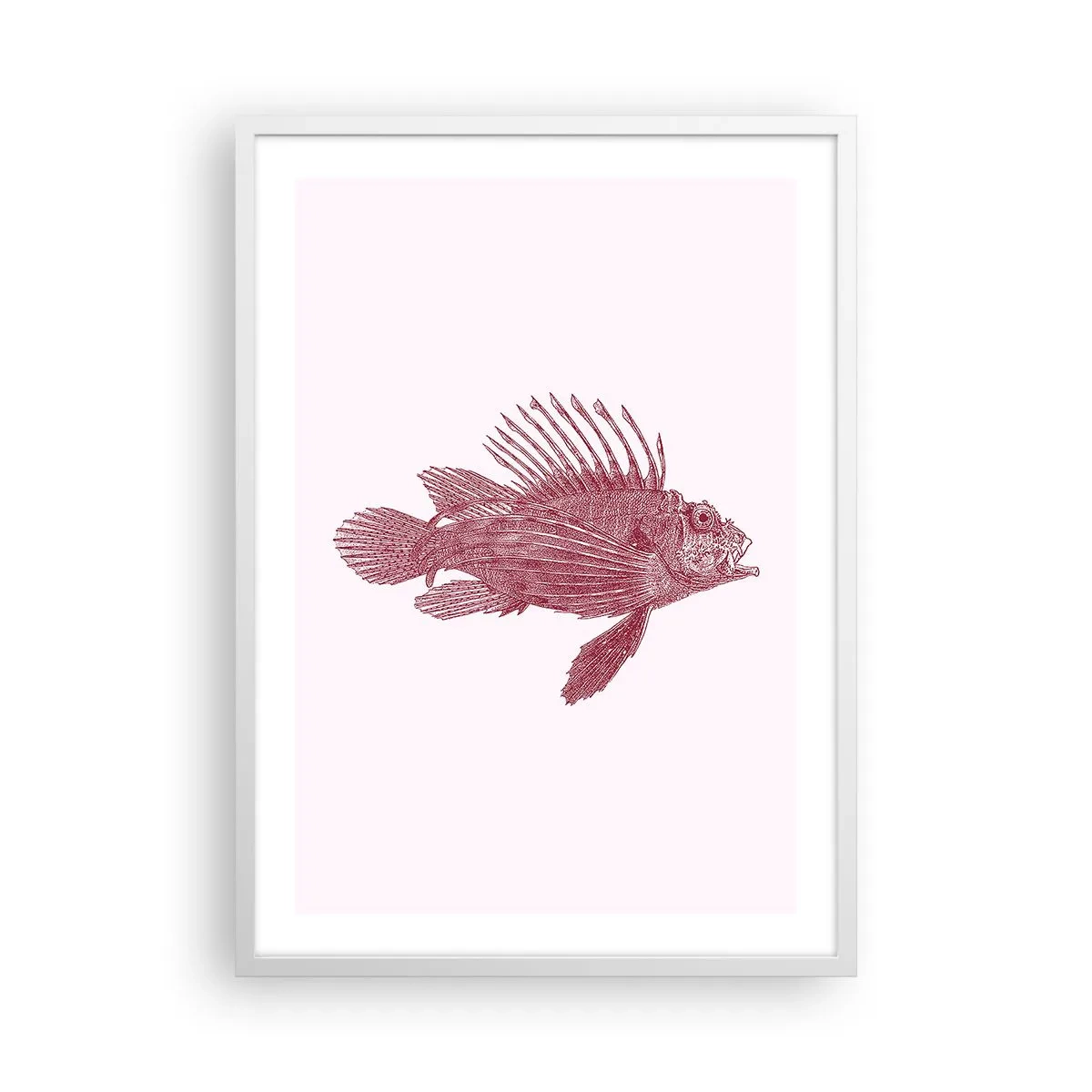 Pôster em moldura branca - Um habitante de águas exóticas - 50x70 cm