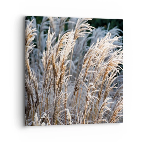 Quadro em tela - Decorado com a geada - 30x30 cm