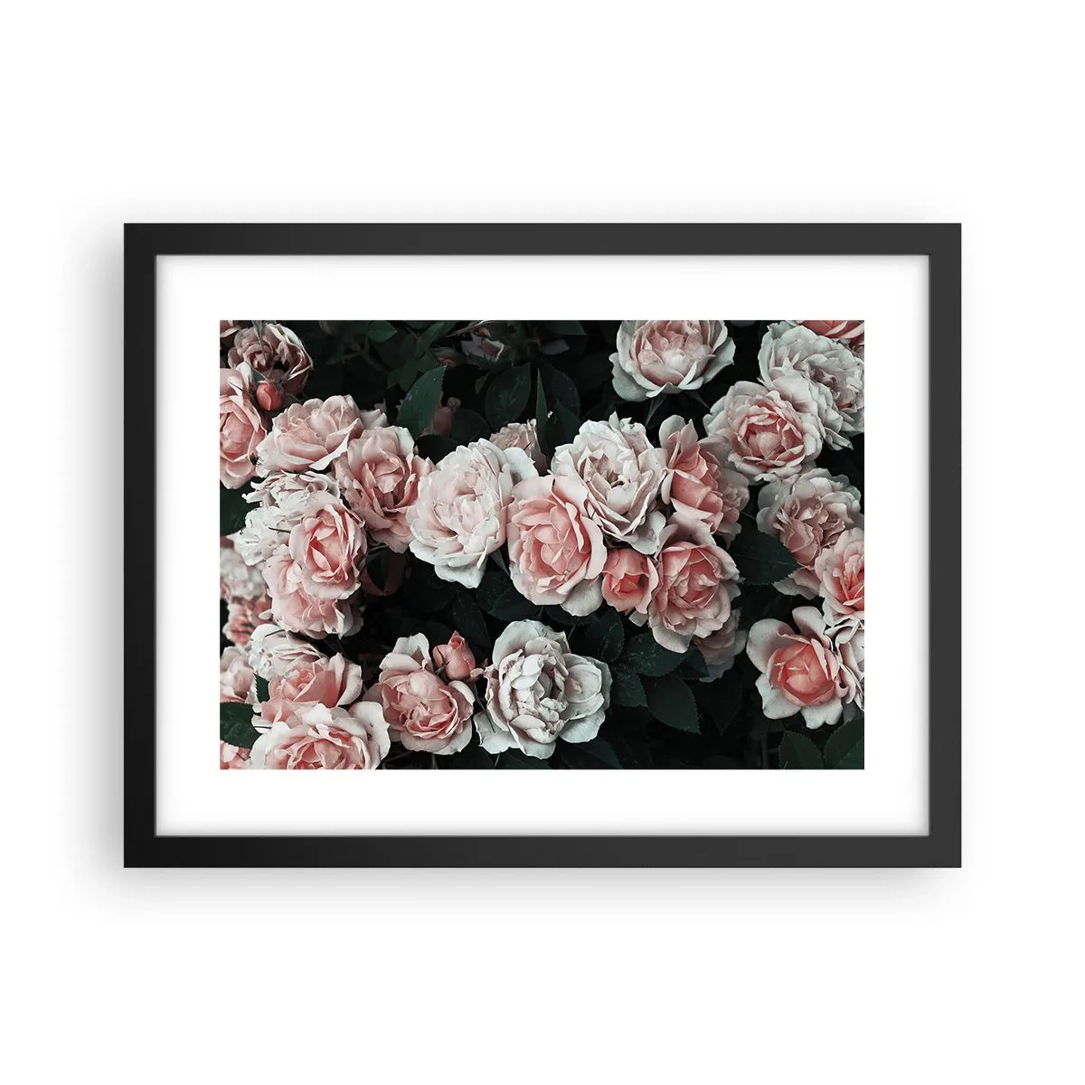 Pôster com moldura preta - Conjuntos de rosas - 40x30 cm