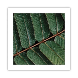 Pôster - Num ritmo verde - 40x40 cm