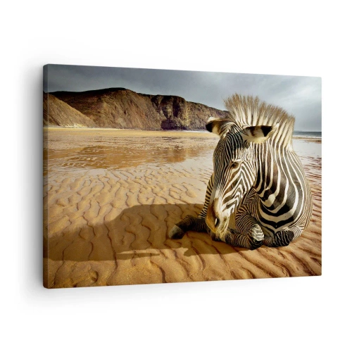 Quadro em tela - Uma zebra descansando em uma praia de areia com penhascos ao fundo. - 70x50cm - Combinamos bem - Decoração de parede moderna para a sala de estar e quarto ARTTOR