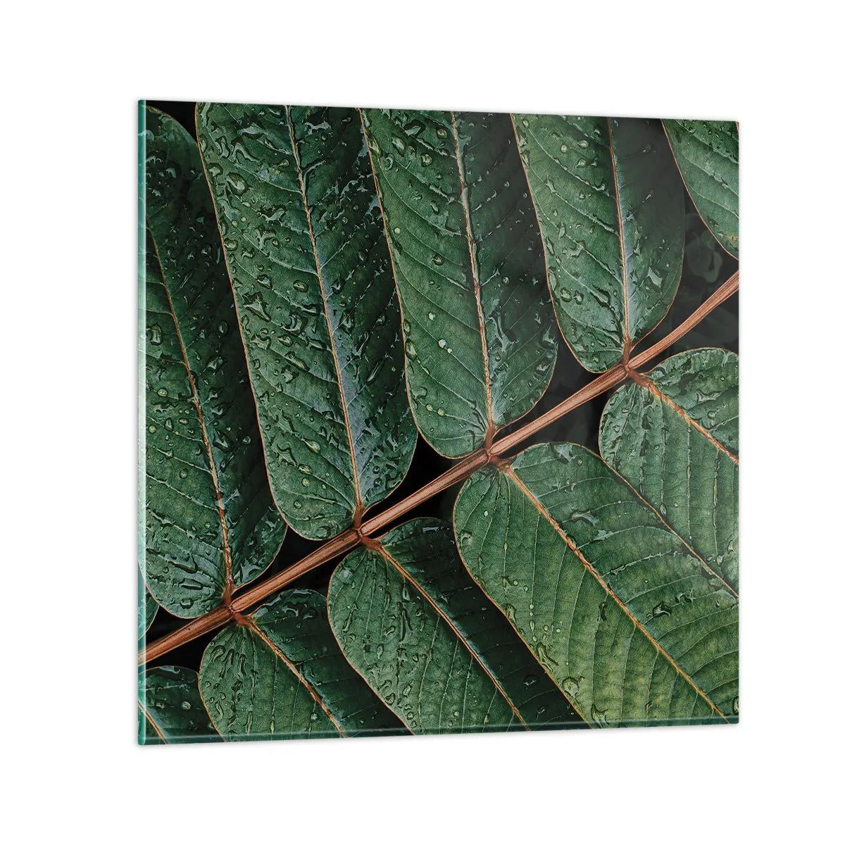 Quadro em vidro - Num ritmo verde - 50x50 cm