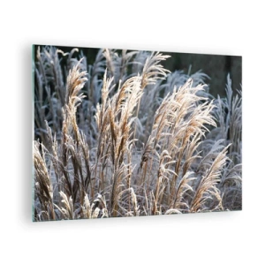 Quadro em vidro - Gramíneas congeladas no sol de inverno - 70x50cm - Decorado com a geada - Decoração de parede moderna para a sala de estar e quarto ARTTOR