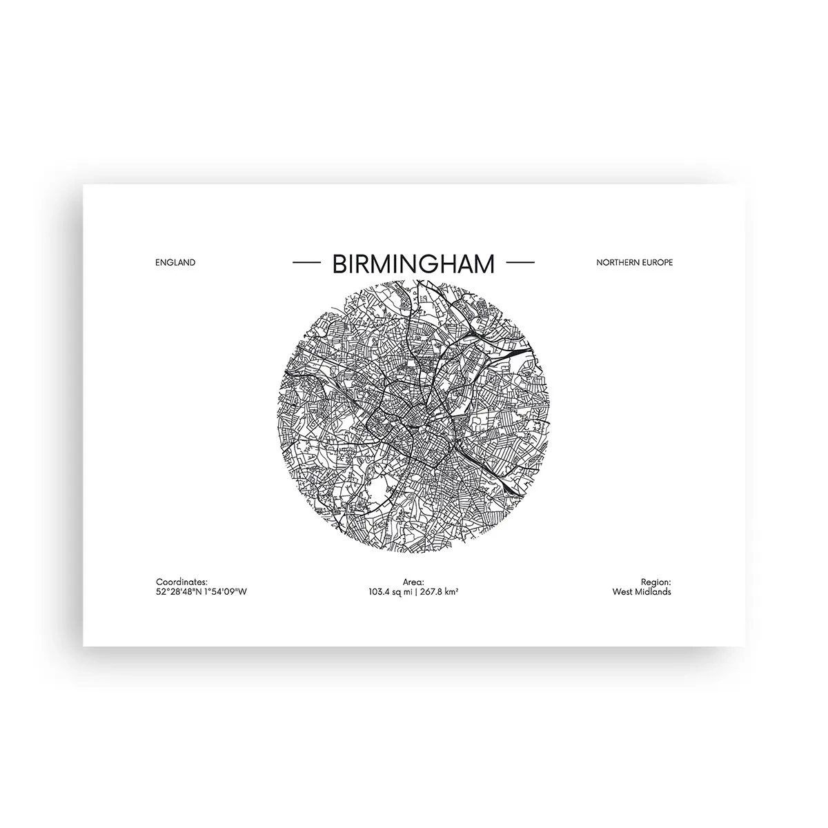 Pôster - Anatomia de Birmingham - 100x70 cm
