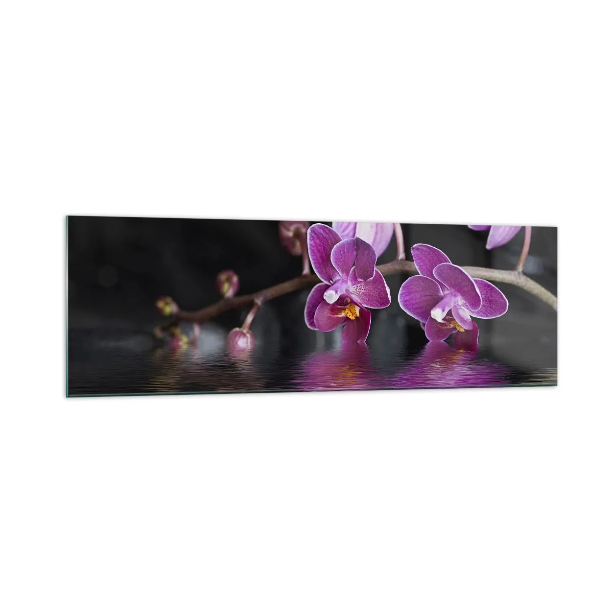 Quadro em vidro - Reflexo lilás da beleza - 160x50 cm