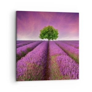 Quadro em tela - Nos campos de lavanda - 70x70 cm