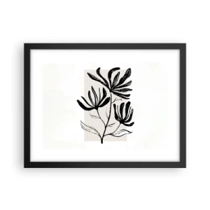 Pôster com moldura preta - Esboço para o herbário - 40x30 cm