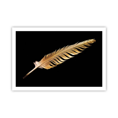 Pôster - É uma pena - 91x61 cm