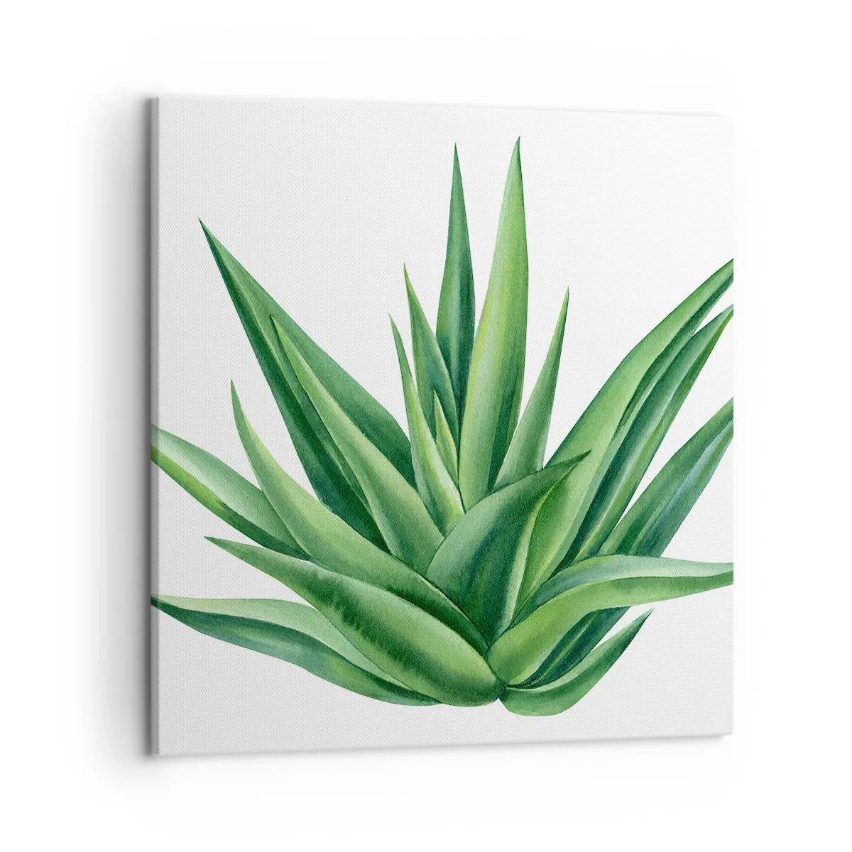 Quadro em tela - Verde – força – vida - 50x50 cm