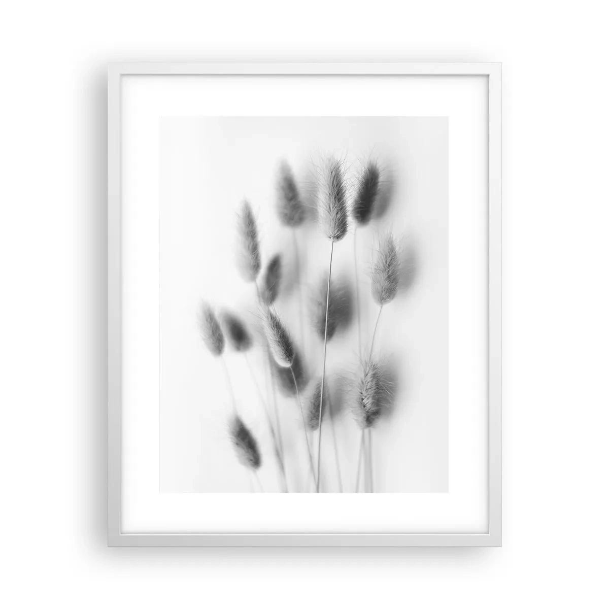 Pôster em moldura branca - Grama fofa - 40x50 cm
