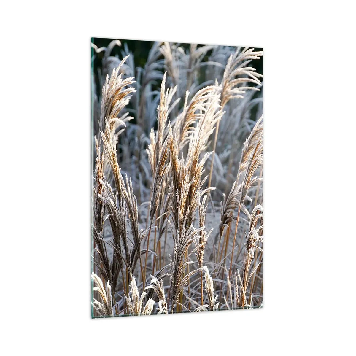 Quadro em vidro - Decorado com a geada - 80x120 cm