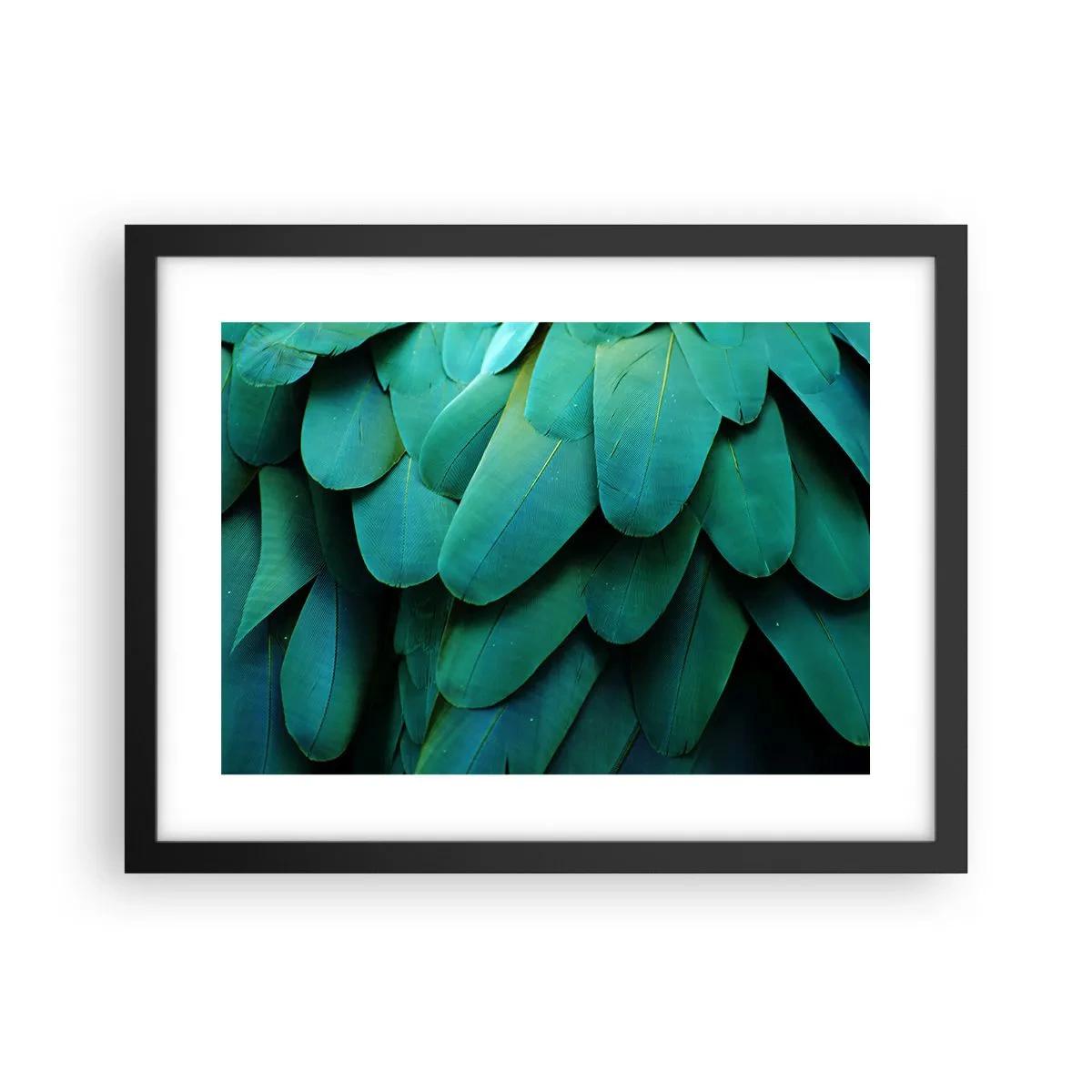 Pôster com moldura preta - Precisão de papagaio - 40x30 cm