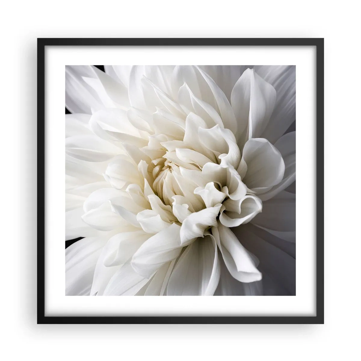 Pôster com moldura preta - Manhã da noiva - 50x50 cm