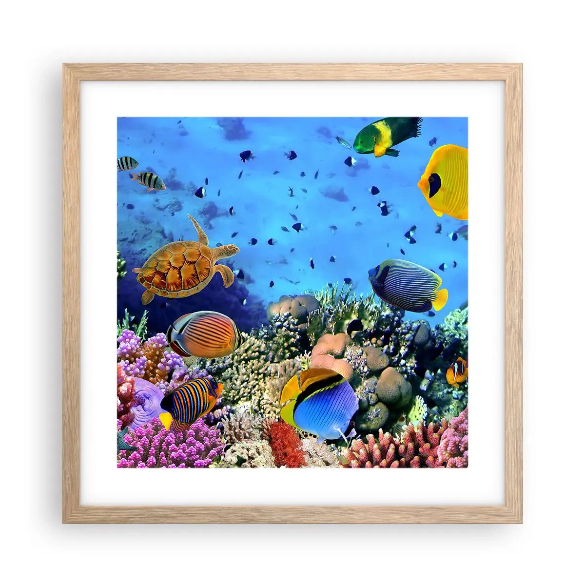 Pôster com moldura de carvalho claro - E o que sabemos sobre a vida... - 40x40 cm