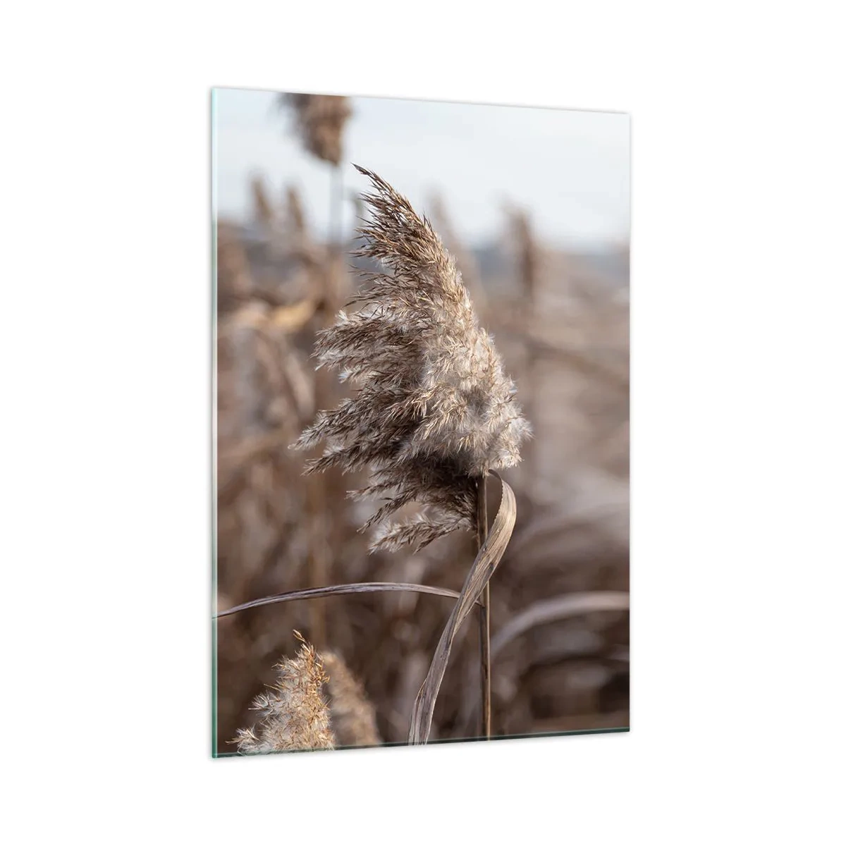 Quadro em vidro - É hora de voar com o vento - 50x70 cm