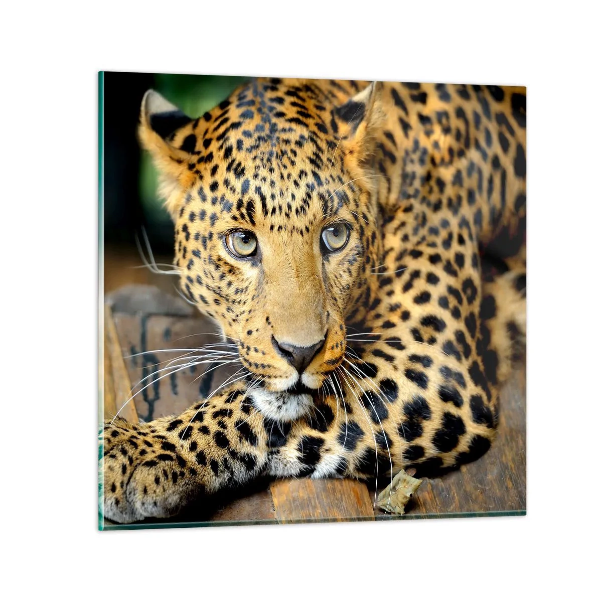 Quadro em vidro - Não tenha medo, venha - 40x40 cm