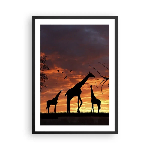 Pôster com moldura preta - Silhuetas de girafas ao pôr do sol - 50x70cm - Um pequeno jantar com seus entes queridos - Decoração de parede moderna para a sala de estar e quarto ARTTOR