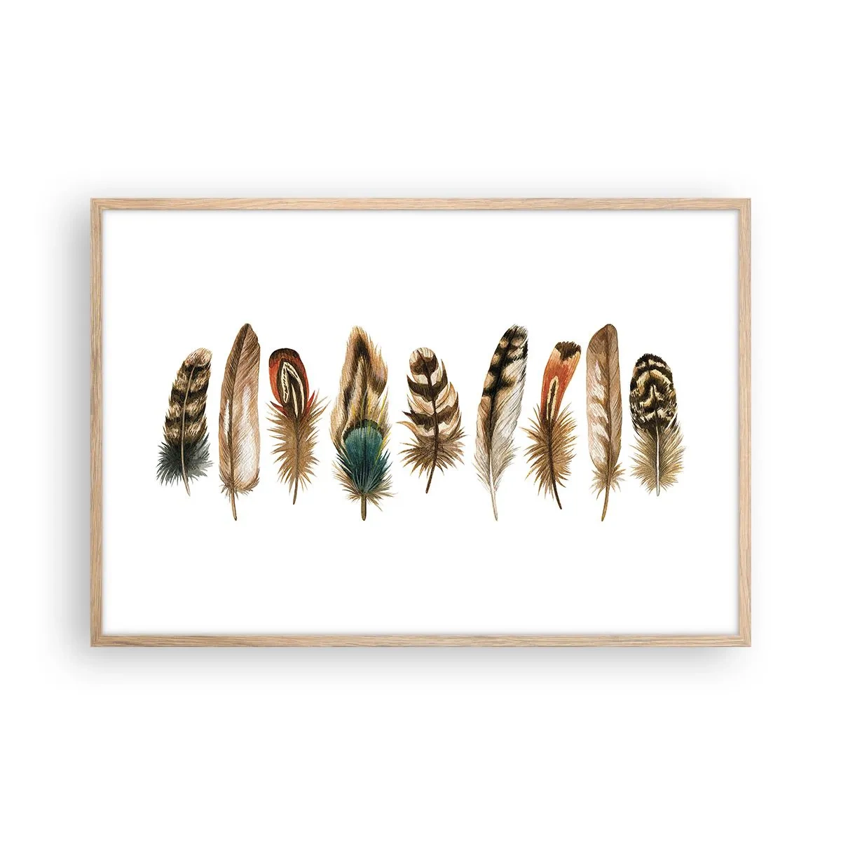 Pôster com moldura de carvalho claro - Variações de penas - 91x61 cm