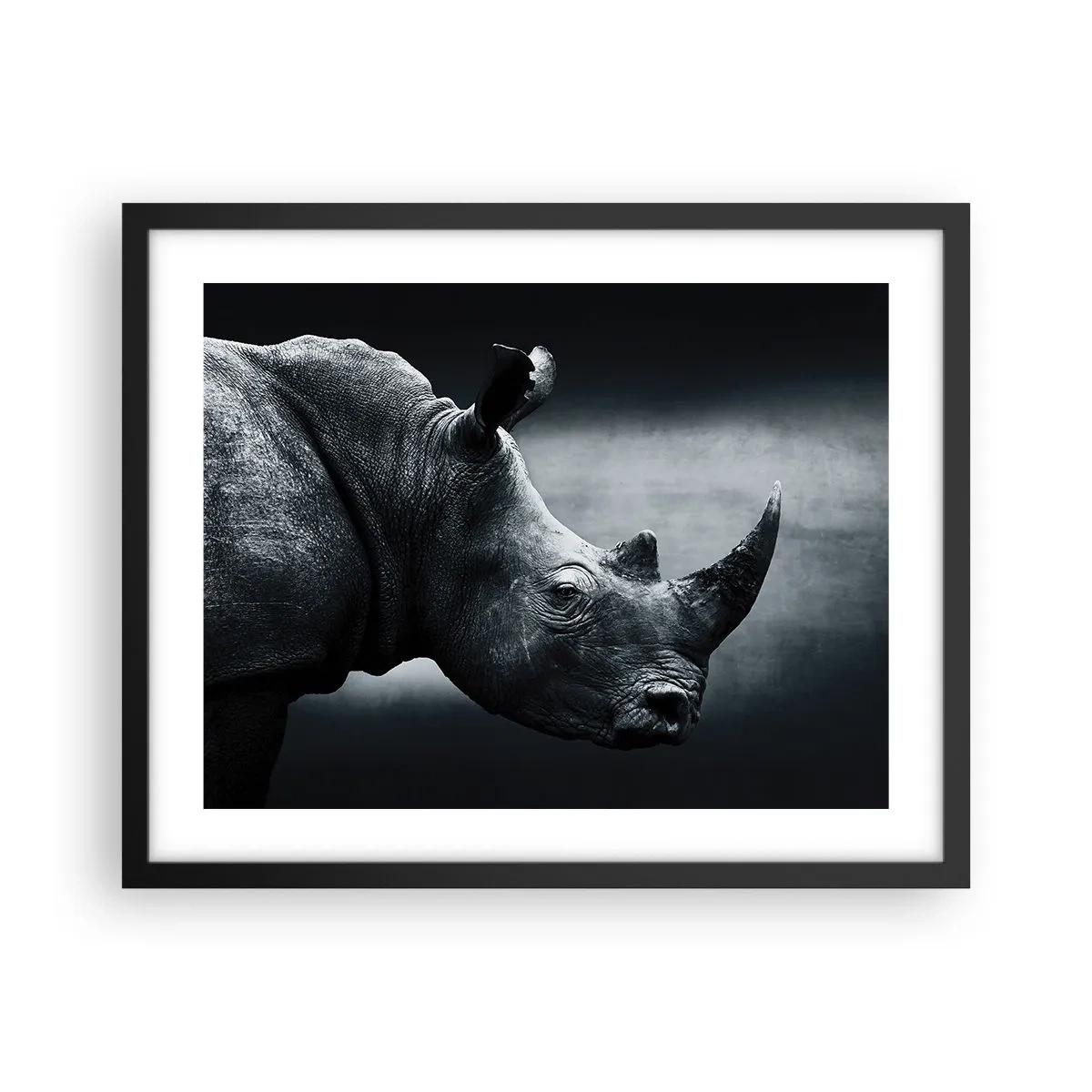 Pôster com moldura preta - Perfil direito - 50x40 cm