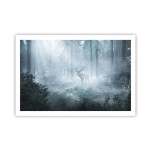 Pôster - Passeio matinal à volta da propriedade - 91x61 cm