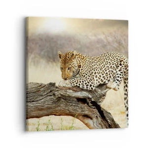 Quadro em tela - Eu sigo o meu próprio caminho - 30x30 cm