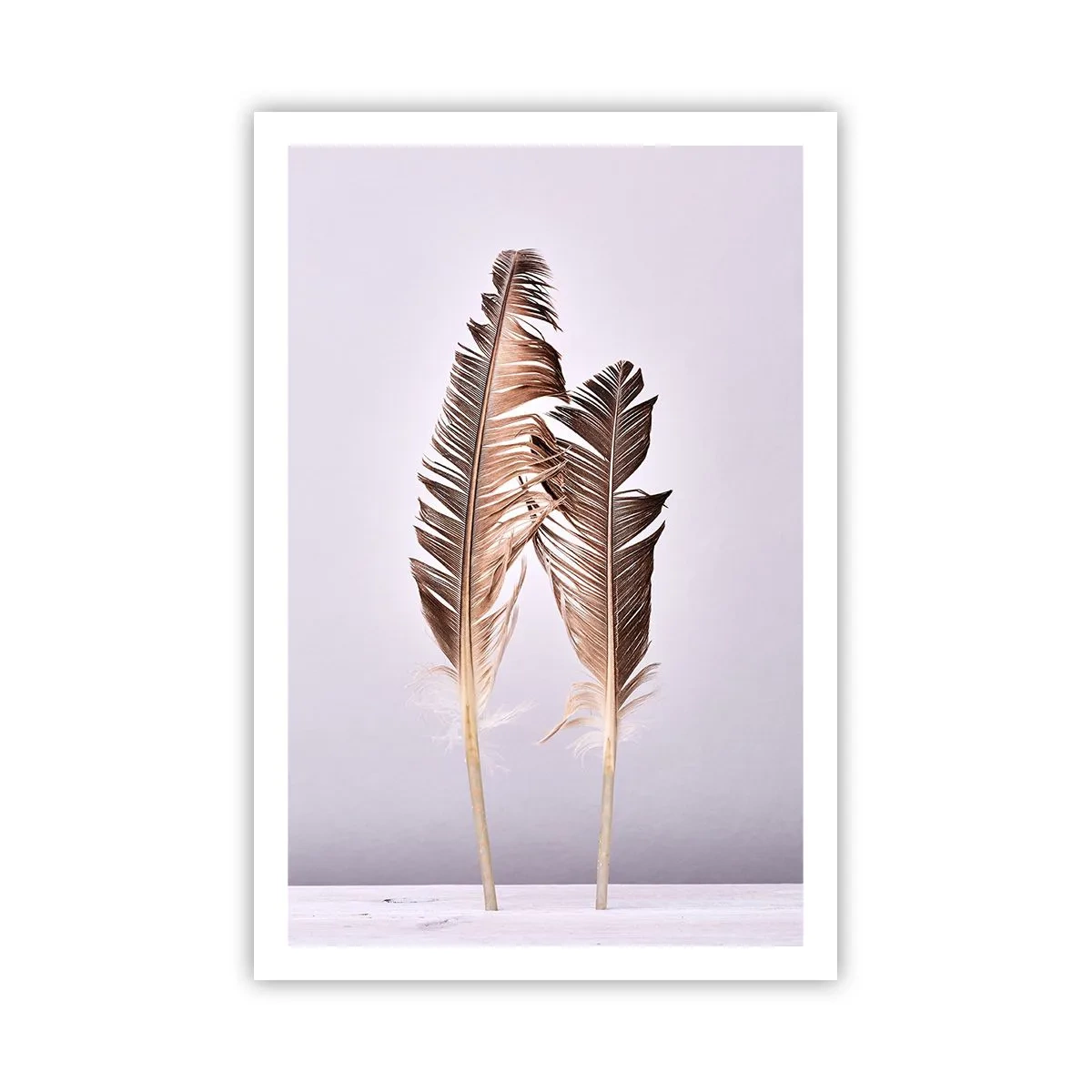 Pôster - Contra o nada - 61x91 cm