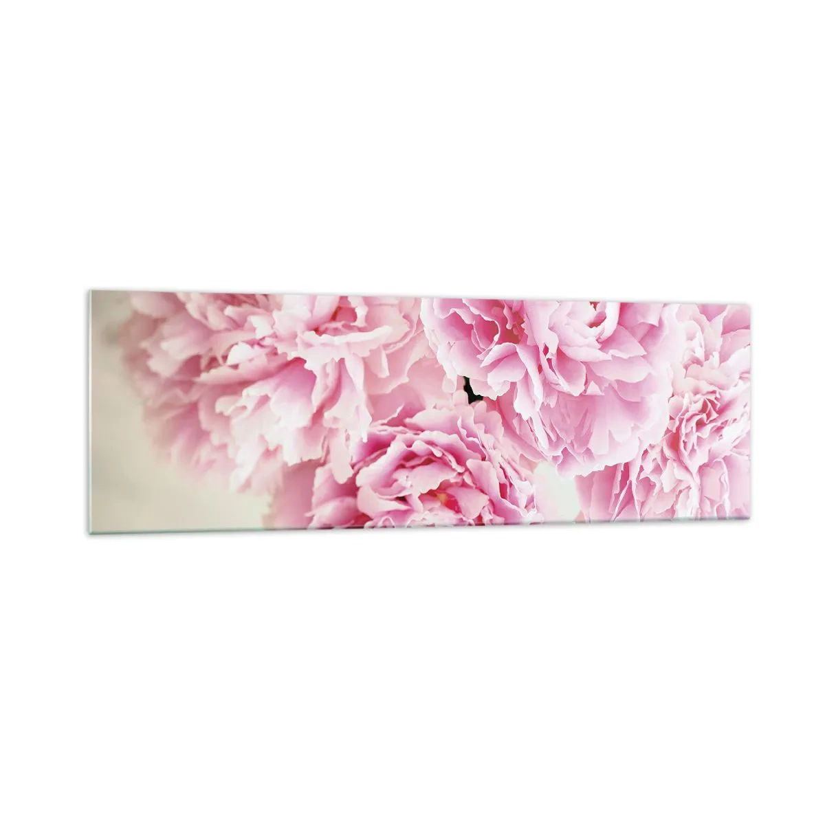 Quadro em vidro - Em esplendor rosa - 160x50 cm