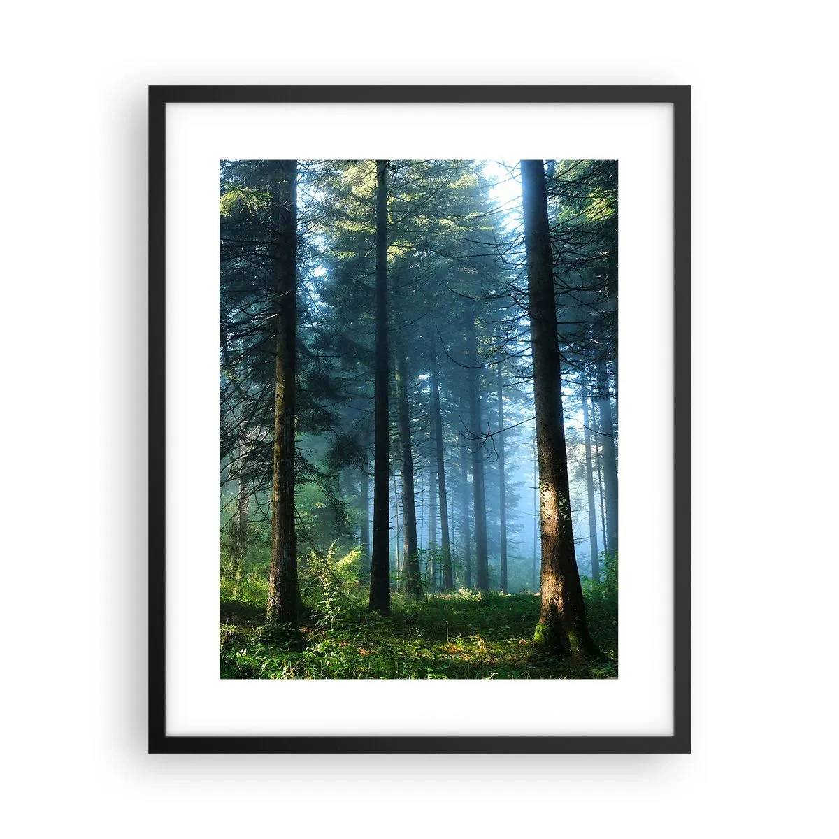 Pôster com moldura preta - Radiante de manhã - 40x50 cm