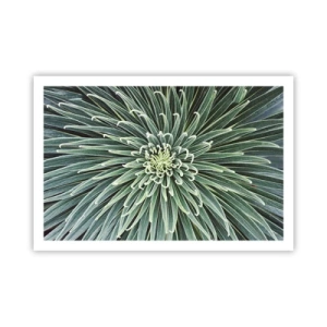 Pôster - Nasce uma estrela - 91x61 cm