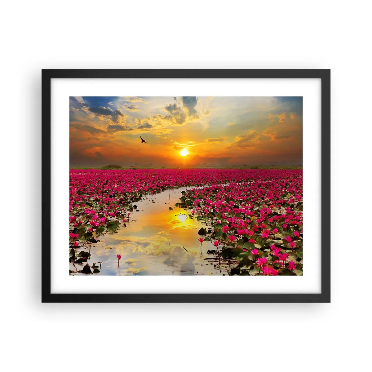 Pôster com moldura preta - A vida secreta do lago - 50x40 cm