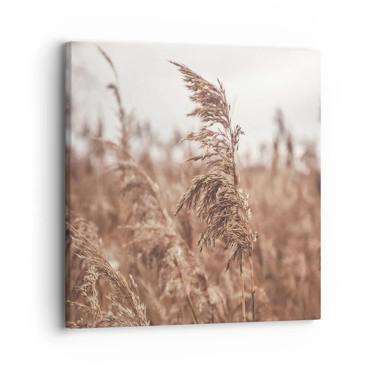 Quadro em tela - O outono já chegou ao campo - 30x30 cm