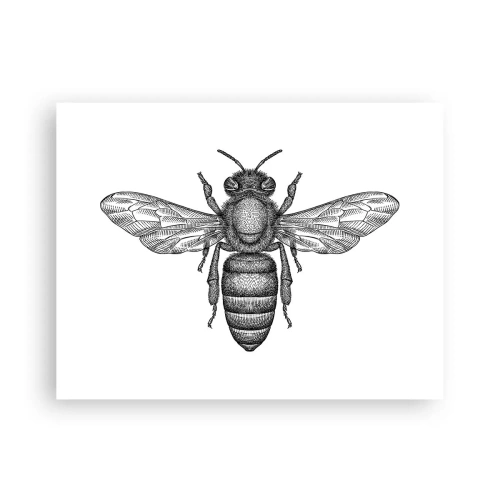 Pôster - Retrato de um inseto - 40x30 cm