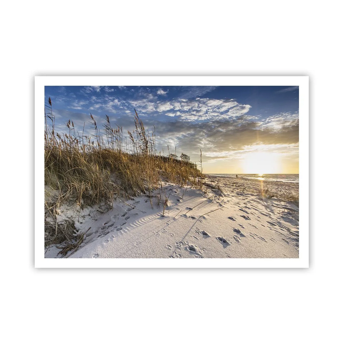 Pôster - Um convite para um passeio - 100x70 cm