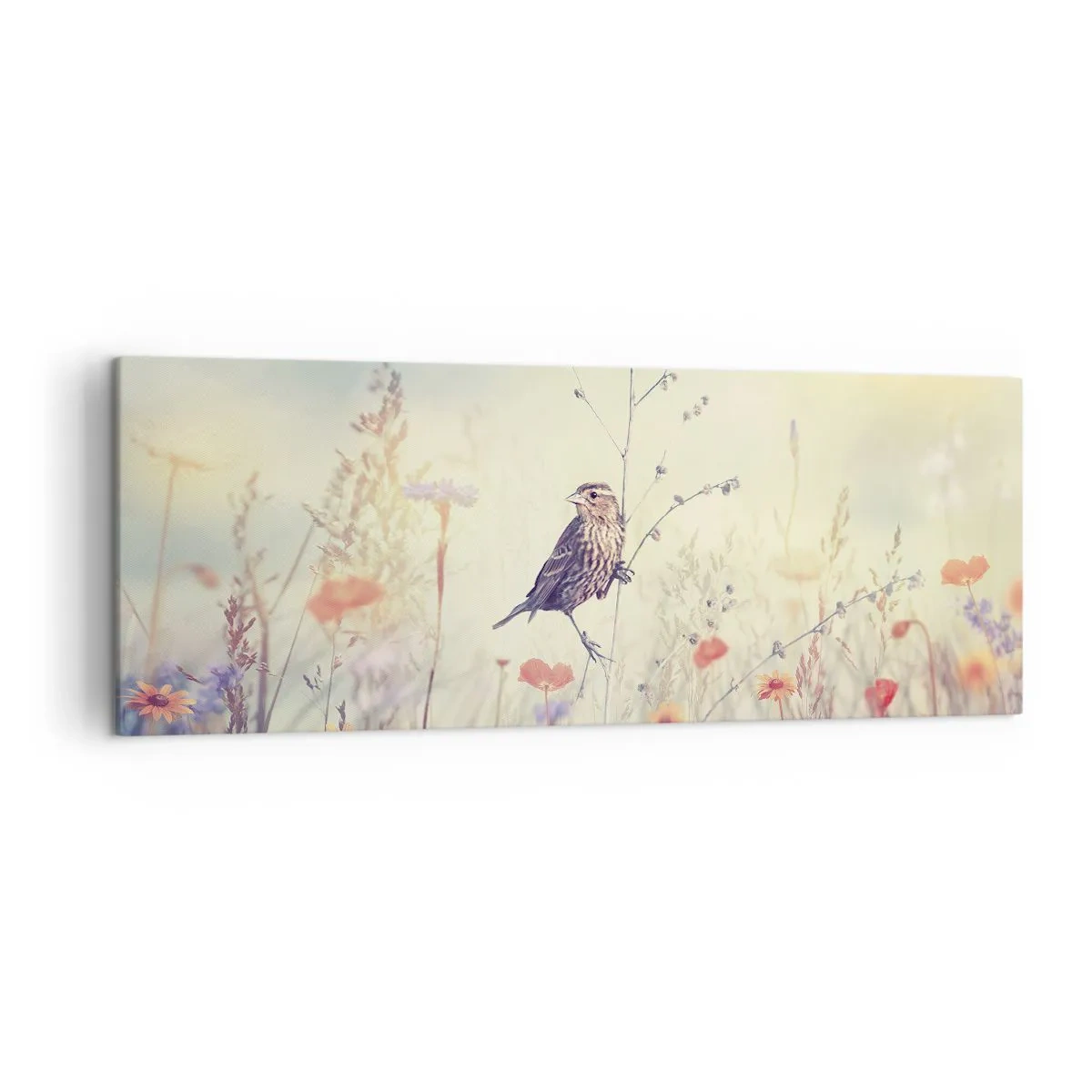 Quadro em tela - Retrato de um pássaro com um prado no fundo - 140x50 cm