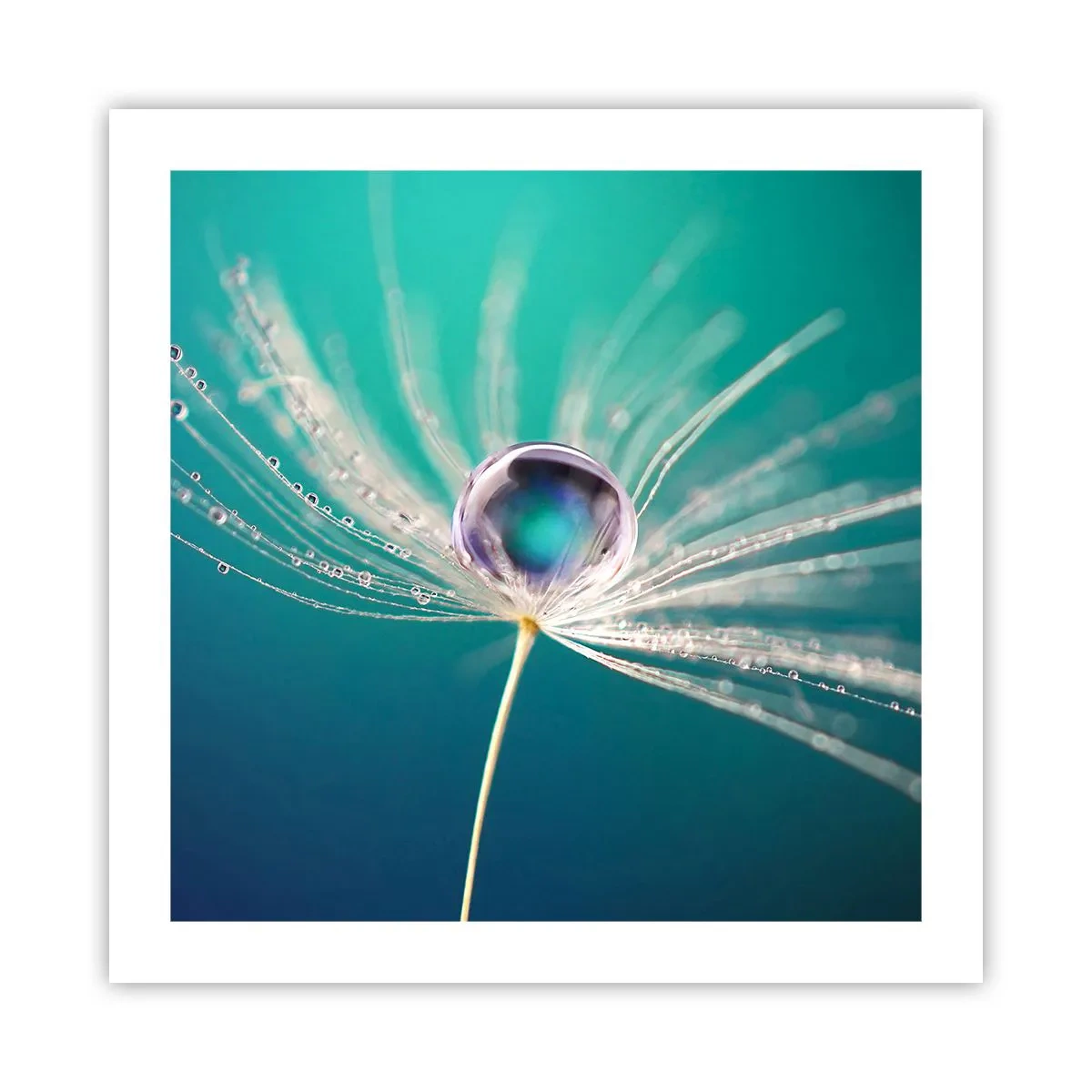 Pôster - Momento místico - 50x50 cm