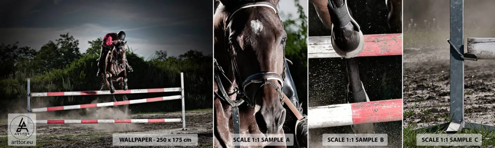 Amostra de Papel de Parede Standard Eco - Juntos pela vitória - Animais, Cavalo, Esporte - 100x30 cm