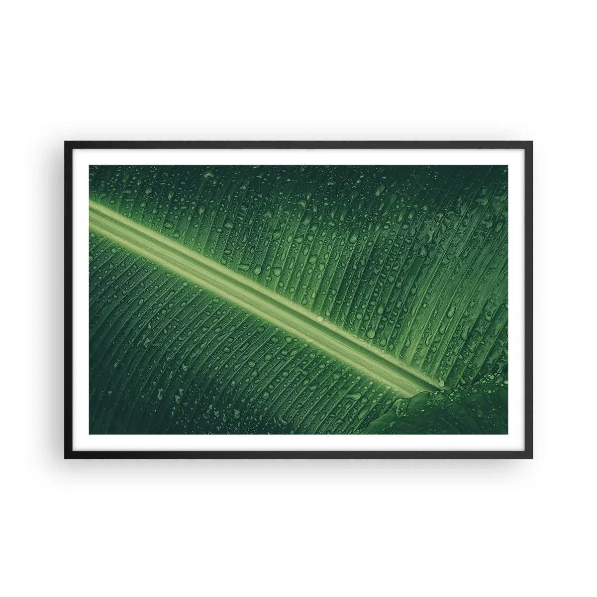 Pôster com moldura preta - A estrutura da vegetação - 91x61 cm