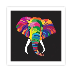 Pôster - O elefante que adorava banhar-se no arco-íris - 60x60 cm