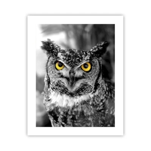 Pôster - Nada pode ser escondido - 40x50 cm