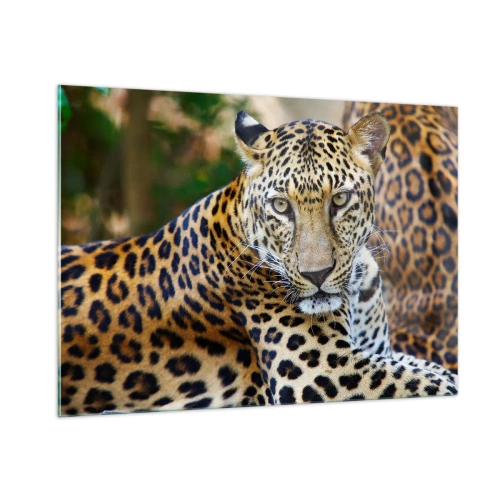 Quadro em vidro - Selvagem e tranquilo - 100x70 cm