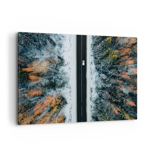 Quadro em tela - Cortar a floresta no inverno - 100x70 cm