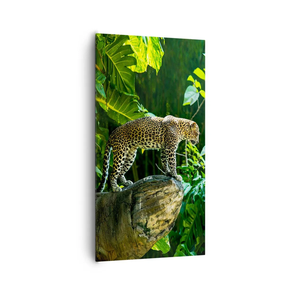 Quadro em tela - Vamos caçar? - 65x120 cm