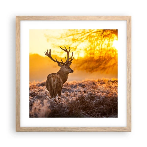 Pôster com moldura de carvalho claro - Rei da floresta de outono - 40x40 cm